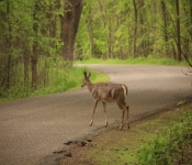 FortSnelling 2014 05 24 014